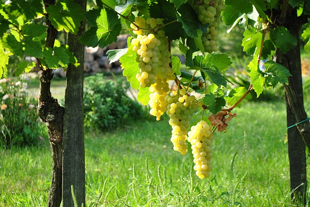 Pôsobenie ekonomiky na bežných obyvateľov